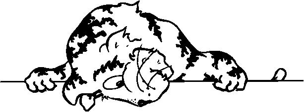 0461.wmf