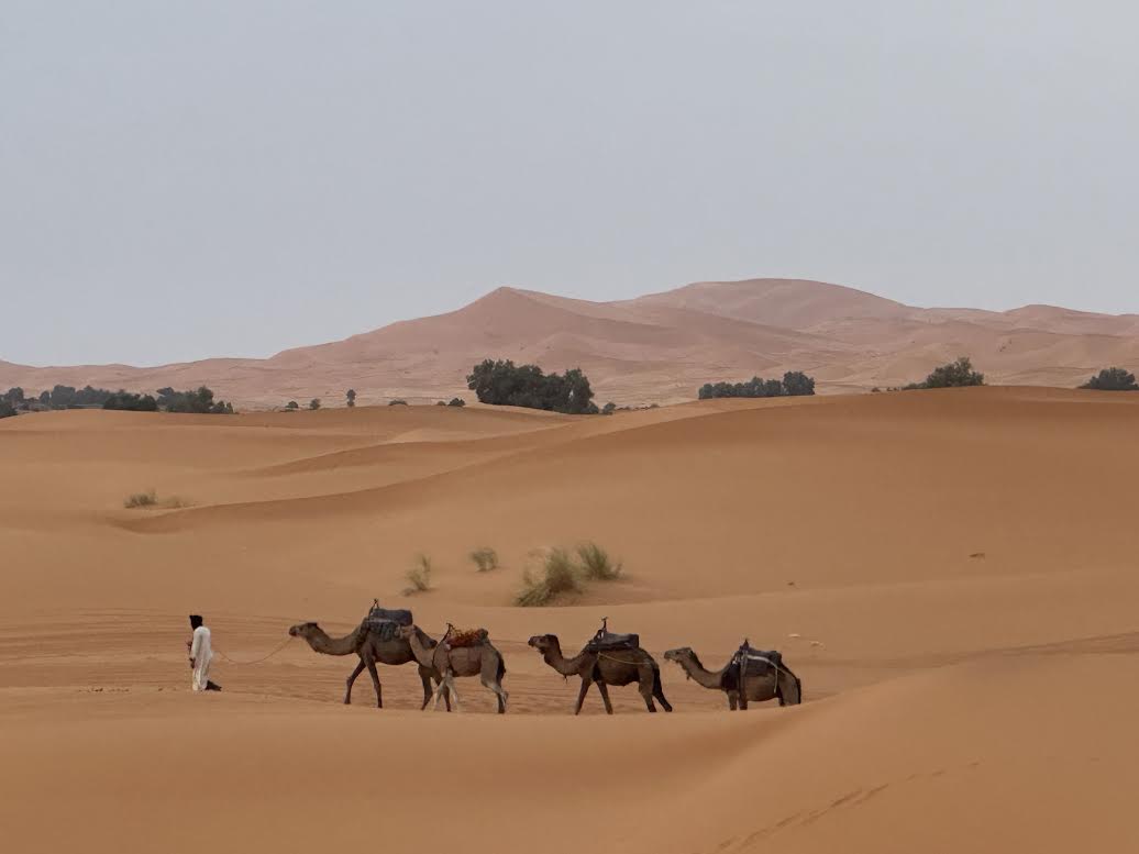 Morocco Desert Tours